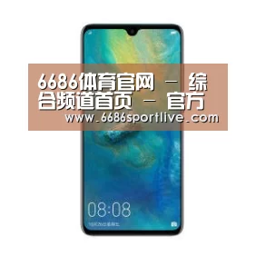 华为无线快充手机