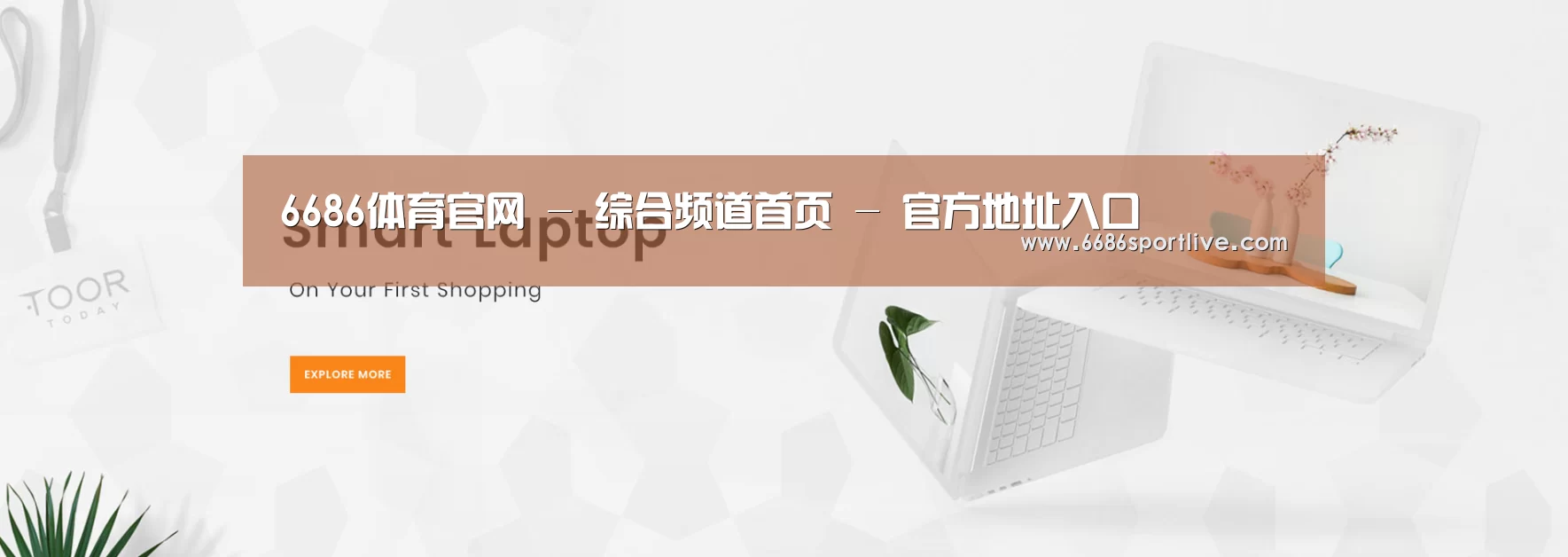 某某网络科技有限公司