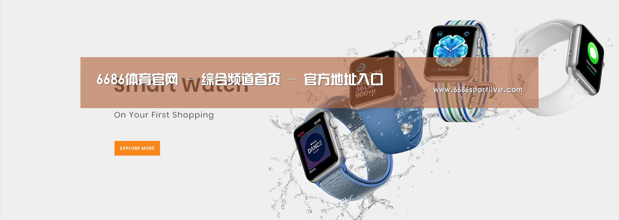 某某网络科技有限公司