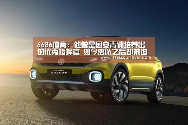 6686赛程
