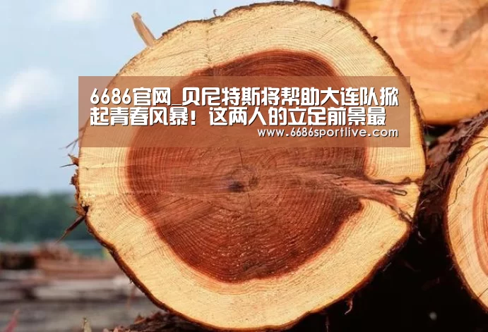 6686官网_贝尼特斯将帮助大连队掀起青春风暴!这两人的立足前景最被看好(图1) 6686体育