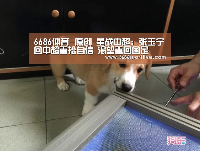 6686官网