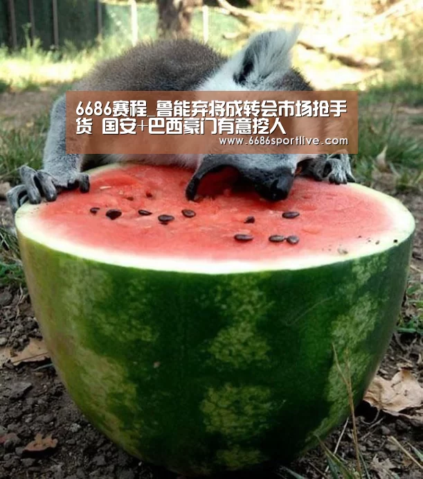 6686赛程_鲁能弃将成转会市场抢手货 国安+巴西豪门有意挖人(图3) 6686网站