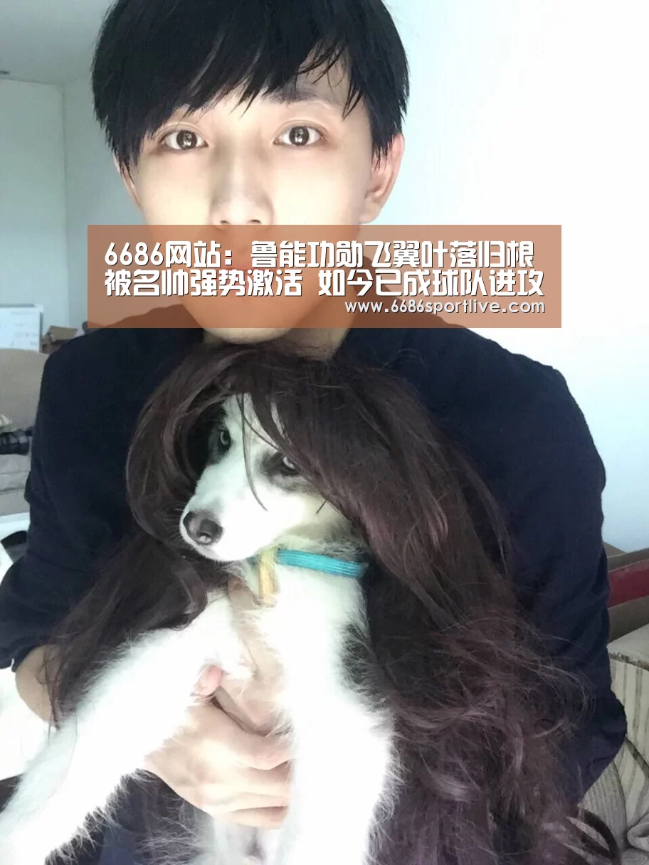 6686网站:鲁能功勋飞翼叶落归根被名帅强势激活 如今已成球队进攻核心!(图2) 6686体育